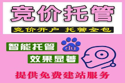 成功案例解析：SEM竞价员策略